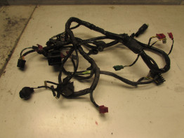 Wire Harness Honda CBR 1000 F