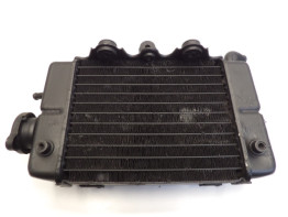 Radiateur Honda TRANSALP