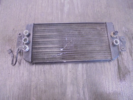 Radiator Suzuki VL 800