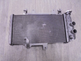 Radiateur BMW F 800 GT