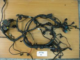 Wire Harness Triumph TT 600