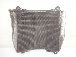 Kuhler Kawasaki ZXR 750