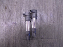 Ignition Coil BMW R 1250 GS
