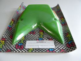 Undertail rear fender Kawasaki Z 1000