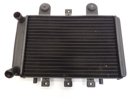 Radiateur Triumph Thunderbird 900