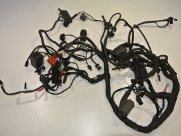 Kabelboom BMW R 1200 R