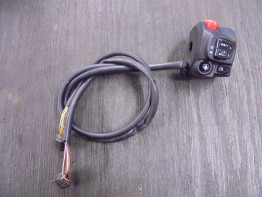 Lenkerschalter rechts Triumph Tiger 1200 Explorer XRT