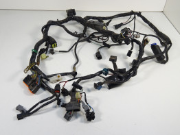 Wire Harness Kawasaki VERSYS 650