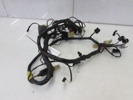 Wire Harness Triumph 1200 Daytona