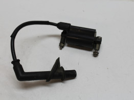 Bobine Honda FMX 650
