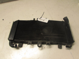 Radiateur Yamaha FAZER 600