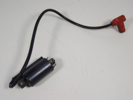 Bobine Ducati monster 600