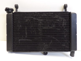 Radiator Yamaha FZR 600