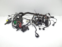 Kabelboom BMW F 650 GS