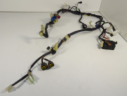 Wire Harness Yamaha FAZER 600
