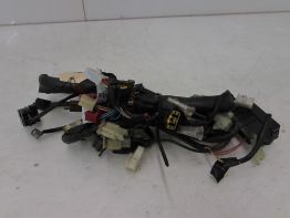 Wire Harness Yamaha FAZER 600