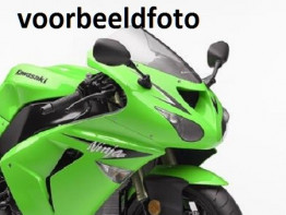 Kuipruit Kawasaki ZX 10 R