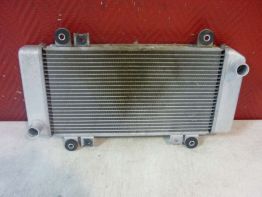 Radiator Kawasaki ZX 250 R - Ninja 250 R
