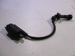 Zundspule Yamaha TDM