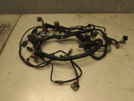 Wire Harness Yamaha FJ 1200