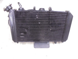 Radiateur Hyosung Comet 650