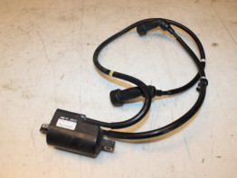 Bobine Yamaha XJ 900 S Diversion