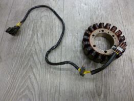 Dynamo BMW F 800 GS