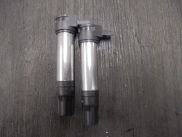 Zundspule BMW R 1200 GS