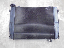 Radiator Aprilia RS 660