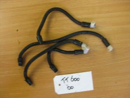 Kabelbaum Triumph TT 600