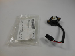 Nokkenas Triumph Daytona 765