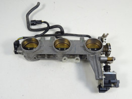 Einspritzanlage Triumph Tiger 1050