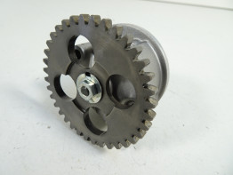 Olpumpe Aprilia Dorsoduro 750