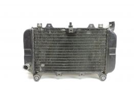 Kuhler Kawasaki ZZR 600