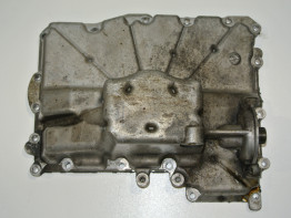 Carterpan Kawasaki Z 1000