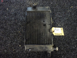 Radiateur Aprilia Falco