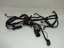 Wire Harness Honda CBX 750 F