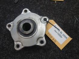 Tandwieldrager Aprilia RSV 1000