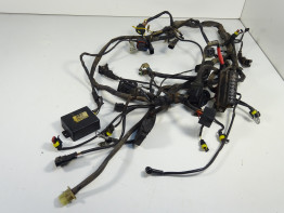 Wire Harness Ducati monster 600