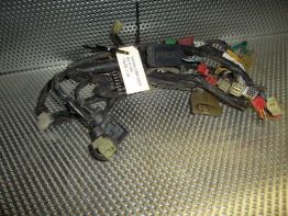 Kabelboom Honda CBR 600 F