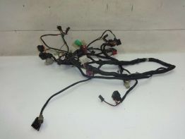 Wire Harness Kawasaki GPZ 500