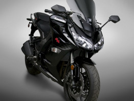 Scheibe Windschild Kawasaki Z 1000 Sx