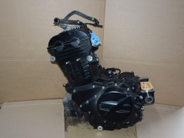 Motorblok BMW F 800 R