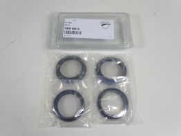 Voorpoten Ducati Monster 1200