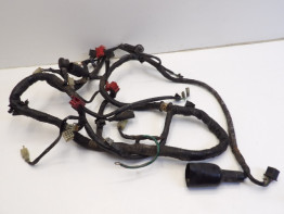 Wire Harness Honda CBX 750 F