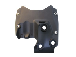 Overig Ducati Panigale V4 R