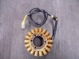 Dynamo Ducati monster 796