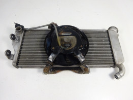 Kuhler Kawasaki ER 6