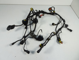 Wire Harness Ducati 749 999