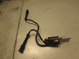 Zundspule Yamaha FAZER 600